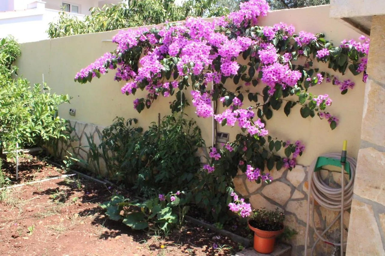 טרוגיר Apartments Villa Macola